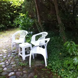  Apartment Gemütl. Und Deutschland